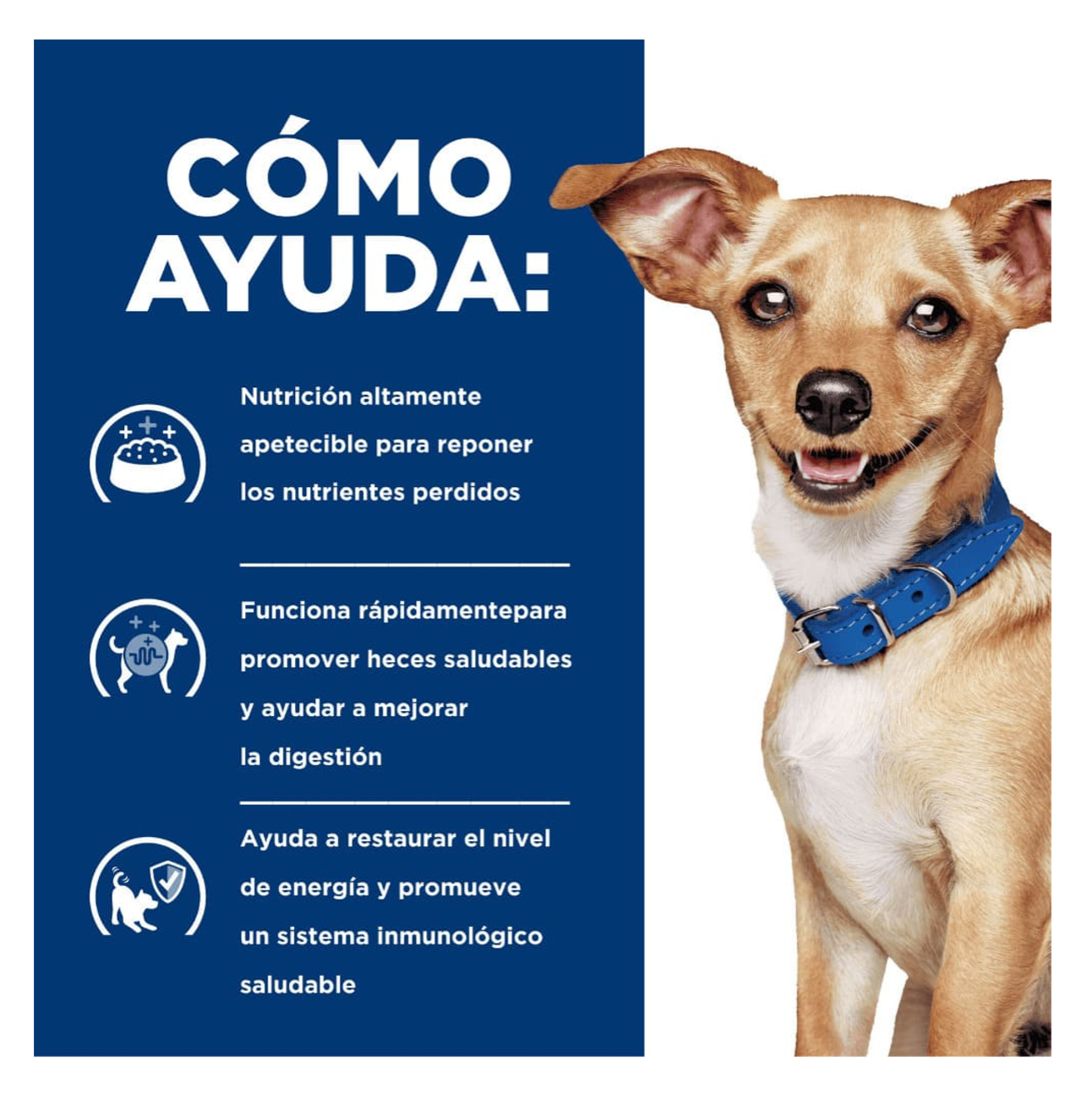 Hills Prescription Diet i/d Small Bites - Alimento para Perros