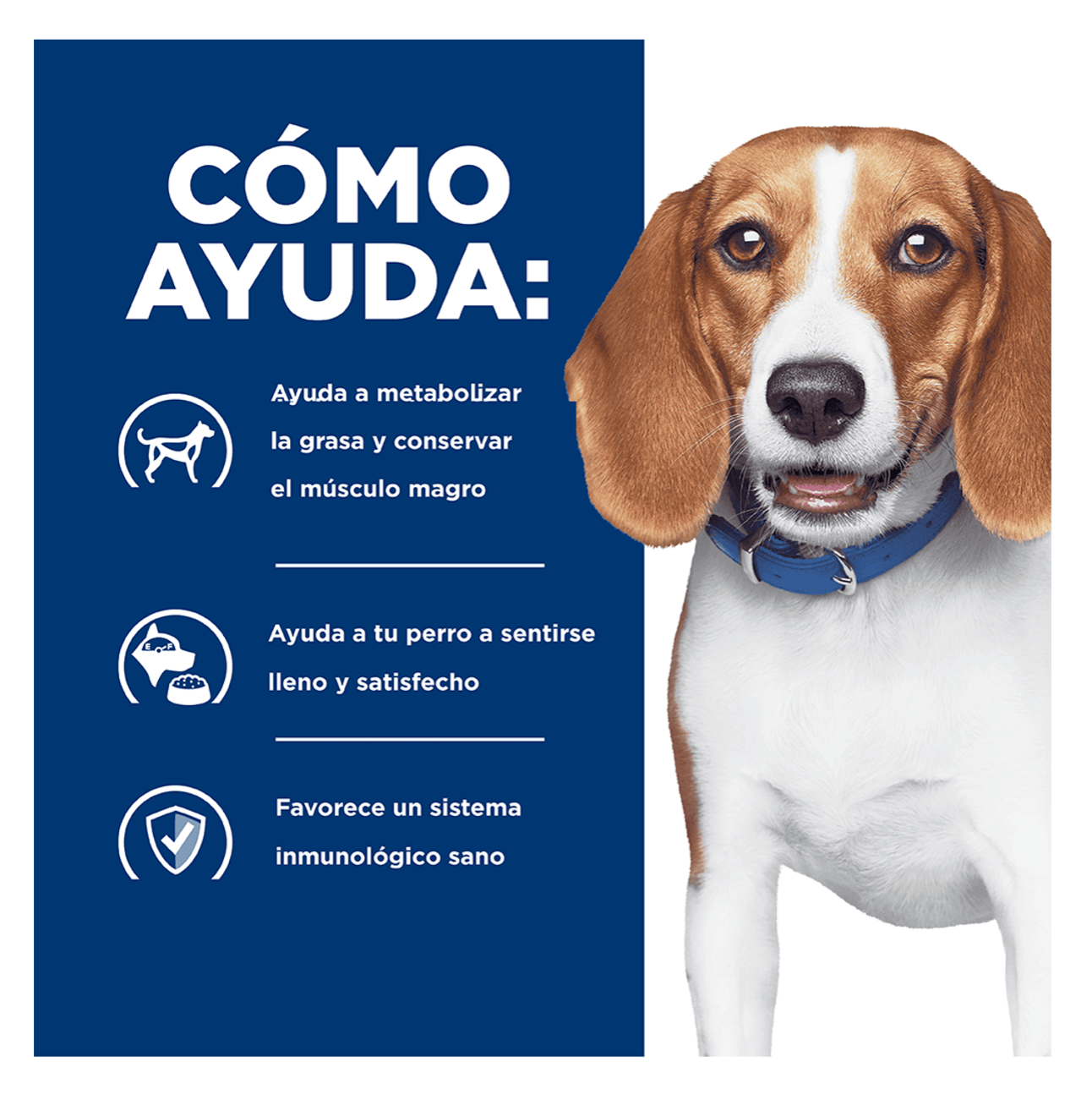 Hills Prescription Diet r/d - Alimento para Perros