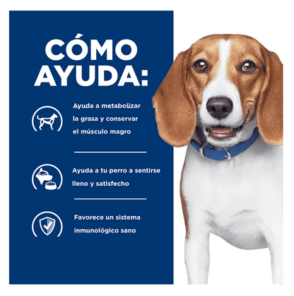 Hills Prescription Diet r/d - Alimento para Perros