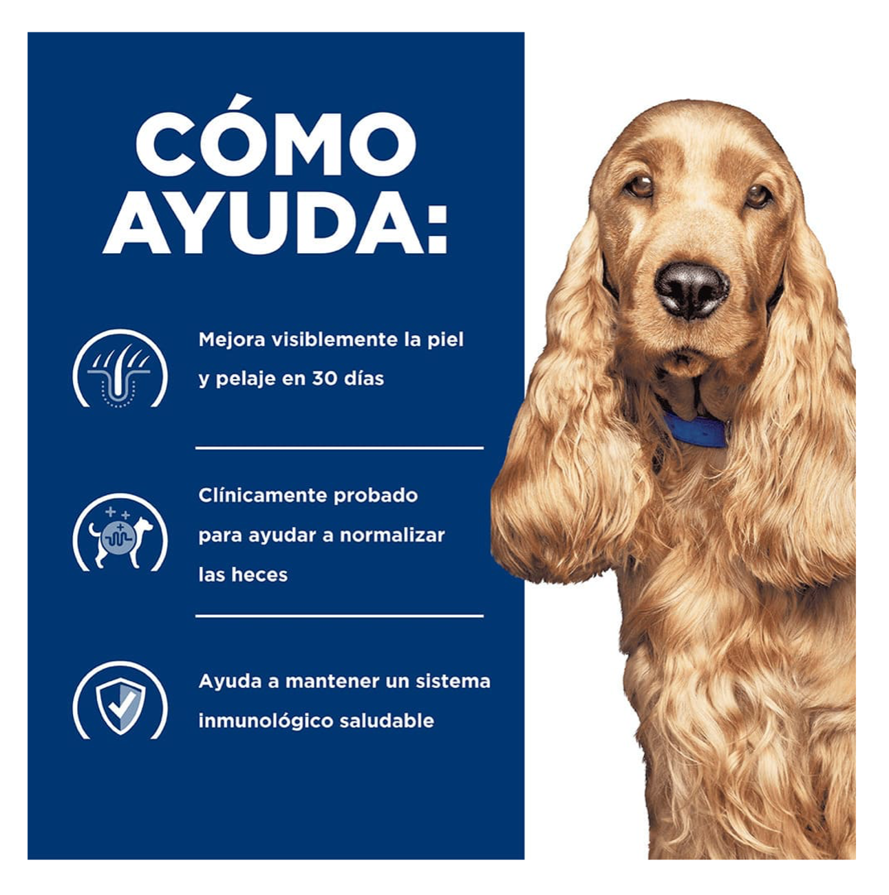 Hills Prescription Diet z/d - Alimento para Perros