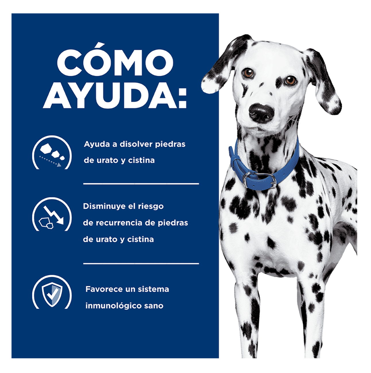 Hills Prescription Diet u/d - Alimento para Perros