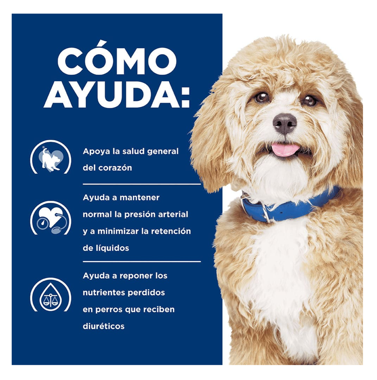 Hills Prescription Diet h/d - Alimento para Perros