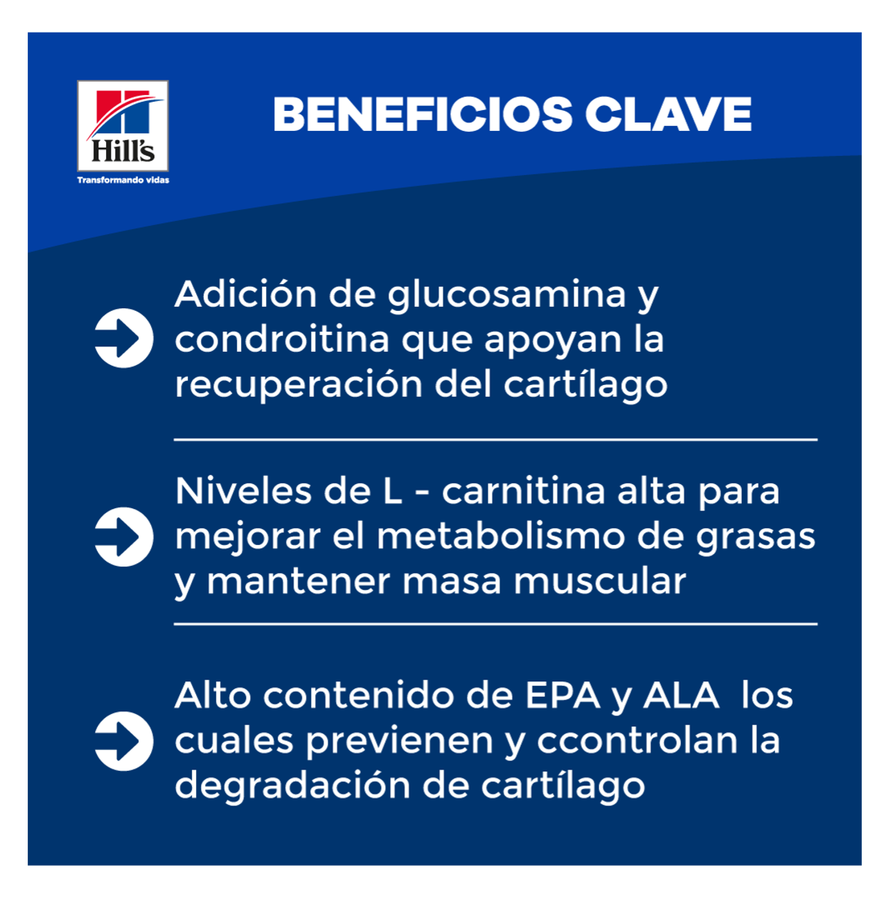 Hills Prescription Diet j/d - Alimento para Perros