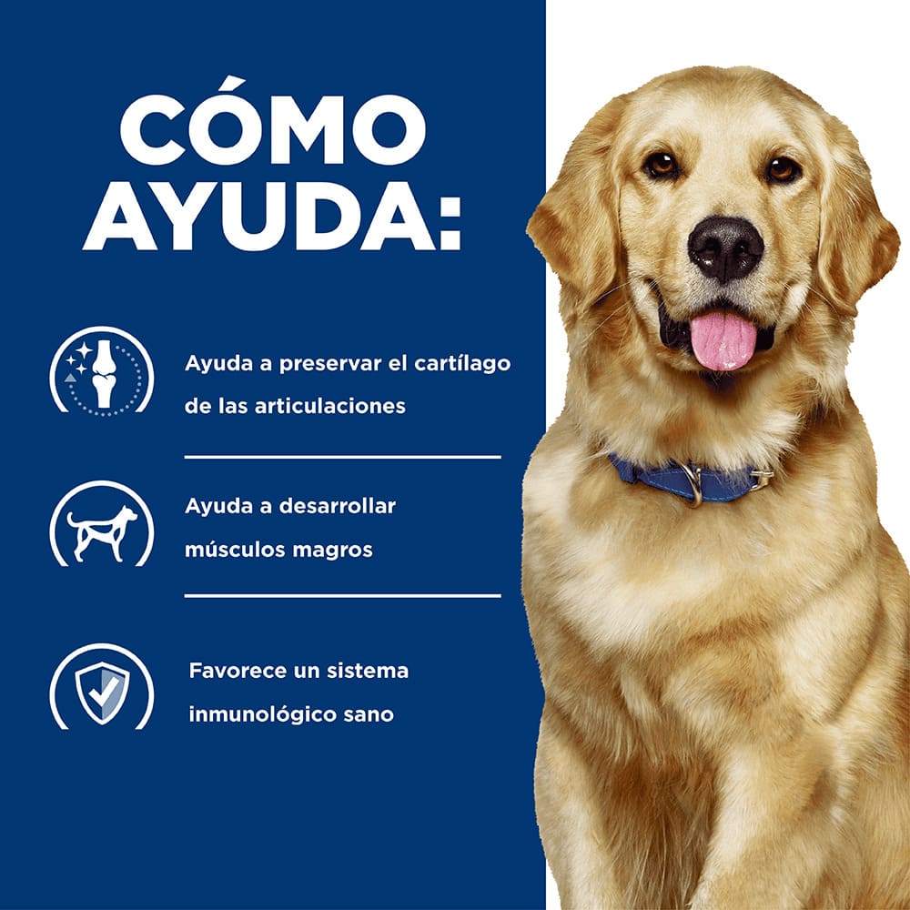 Hills Prescription Diet j/d - Alimento para Perros