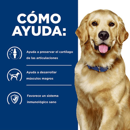 Hills Prescription Diet j/d - Alimento para Perros