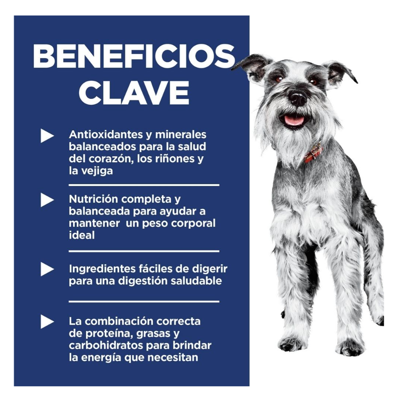 Hill's Science Diet Adult 7+ Small and Mini - Alimento para Perros