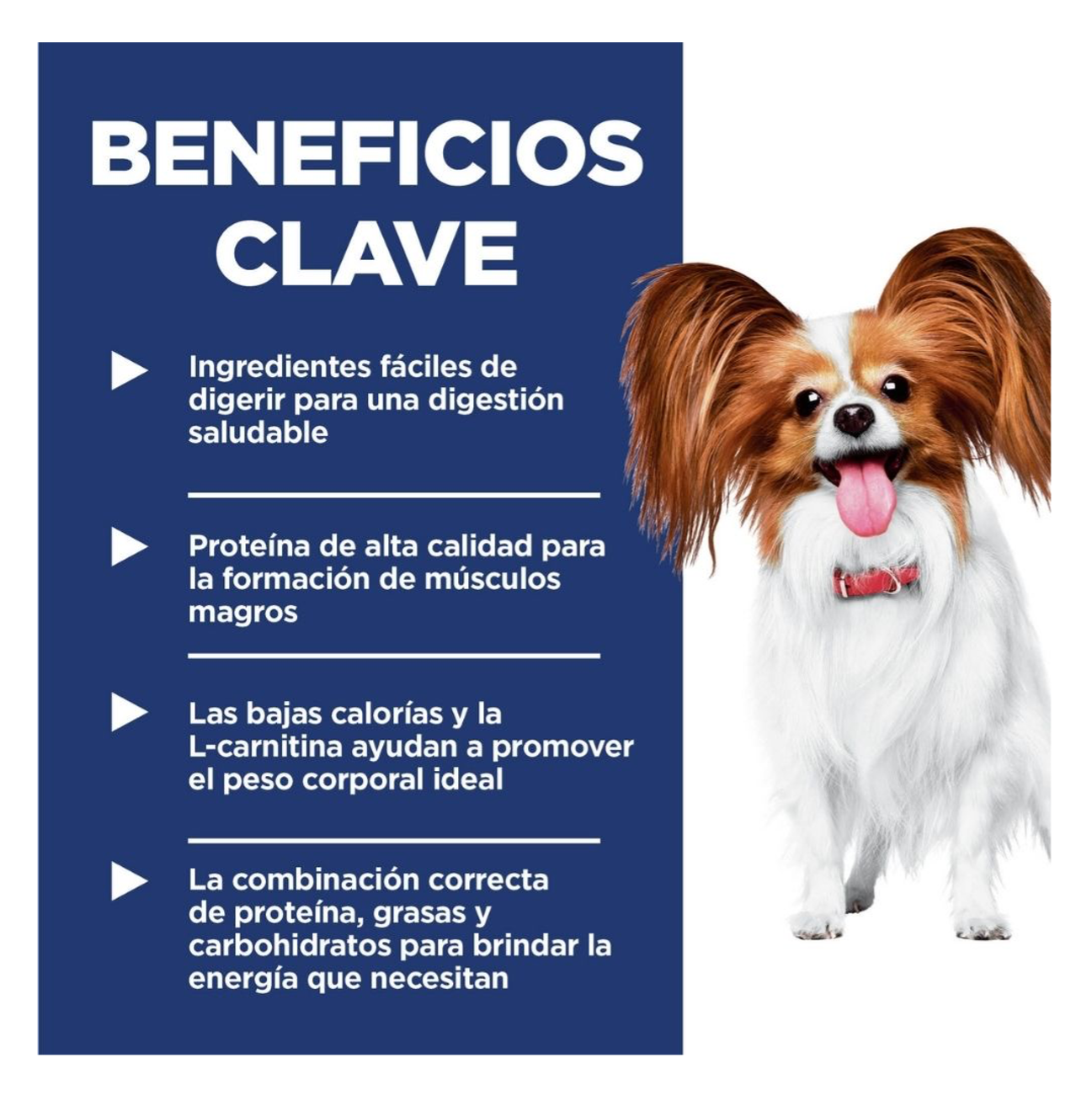 Hill's Science Diet Adult Small and Mini Light - Alimento para Perros