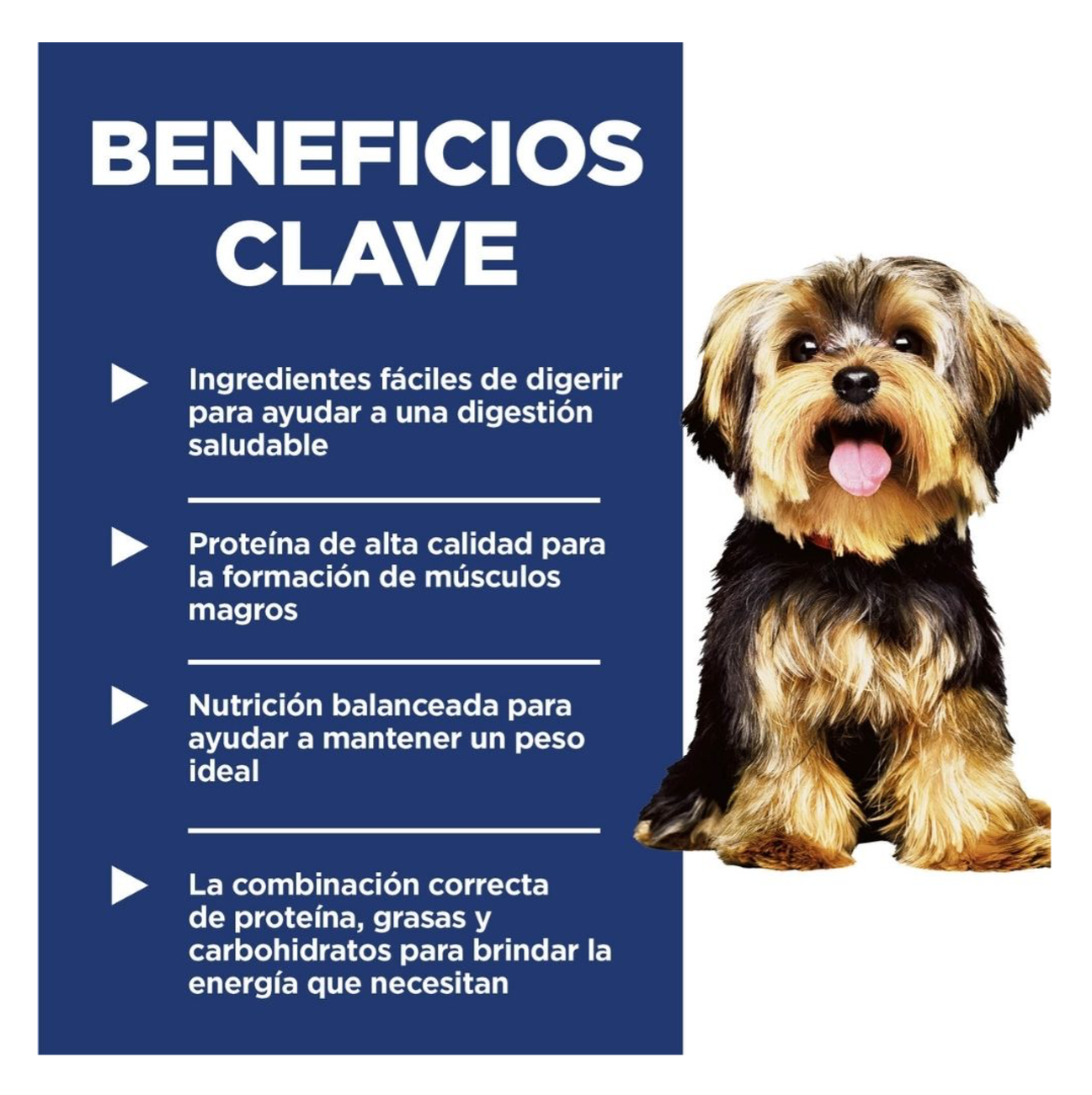 Hill's Science Diet Adult Small  and Mini - Alimento para Perros 