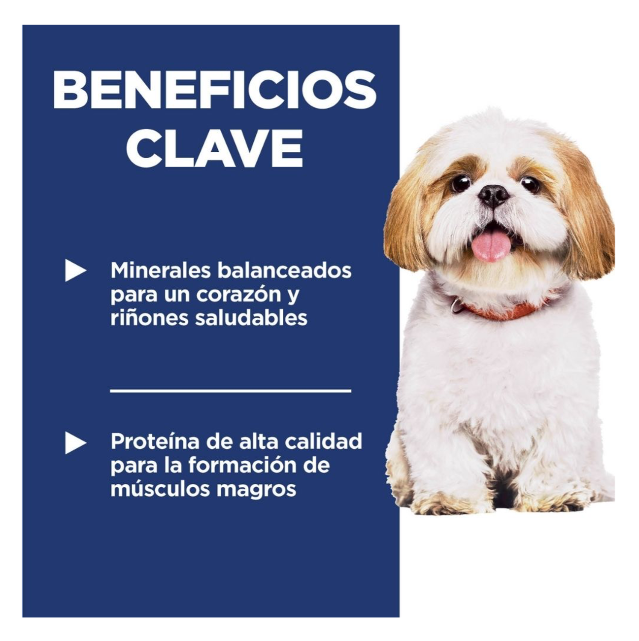 Hill's Science Diet Adult 7+ Small Bites - Alimento para Perros