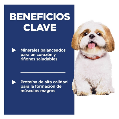 Hill's Science Diet Adult 7+ Small Bites - Alimento para Perros