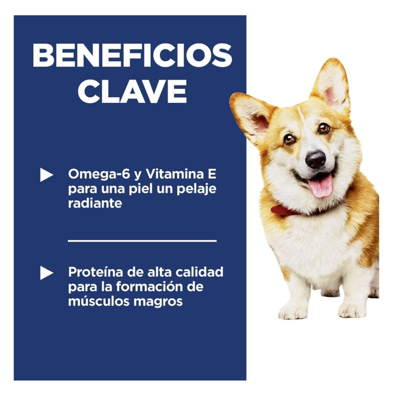Hill's Science Diet Adult Small Bites - Alimento para Perros