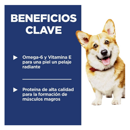 Hill's Science Diet Adult Small Bites - Alimento para Perros