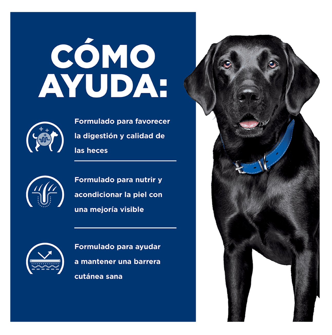 Hills Prescription Diet d/d Skin Support - Alimento para Perros