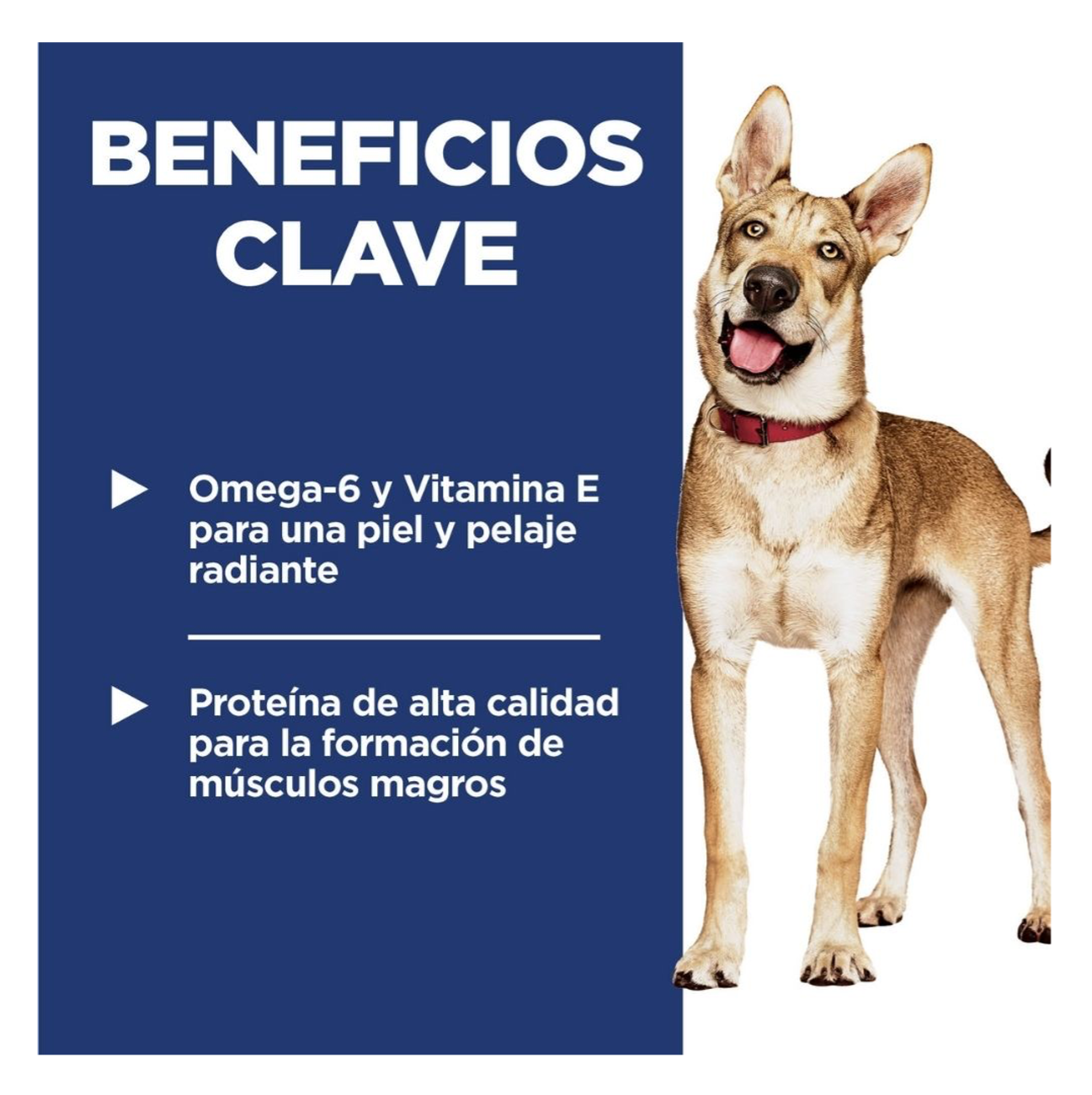 Hills Science Diet Adult - Alimento para Perros