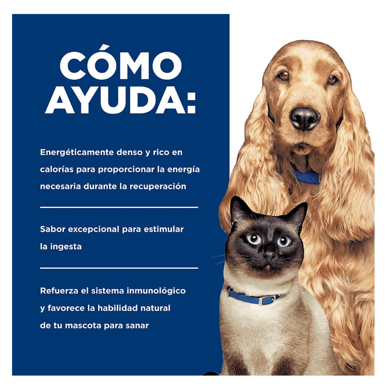 Hills Prescription Diet a/d Lata - Alimento Húmedo para Perro y Gato