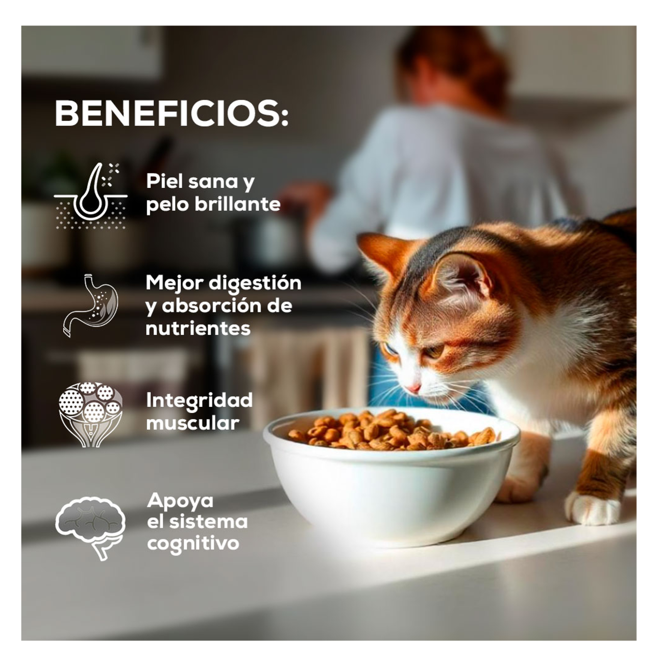 Grand Vita Gato Adulto - Alimento para Gatos