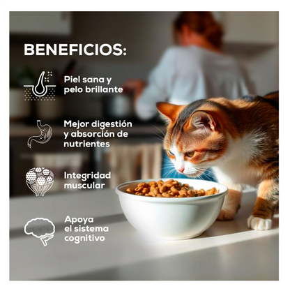 Grand Vita Gato Adulto - Alimento para Gatos