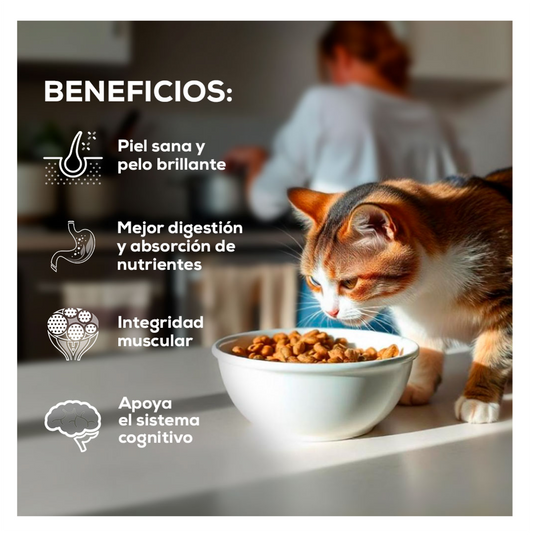 Grand Vita Gato Adulto - Alimento para Gatos