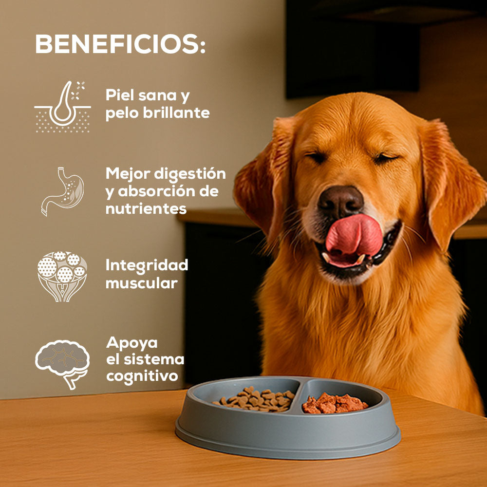 Grand Vita Adulto Senior 7+ Cordero - Alimento para Perros