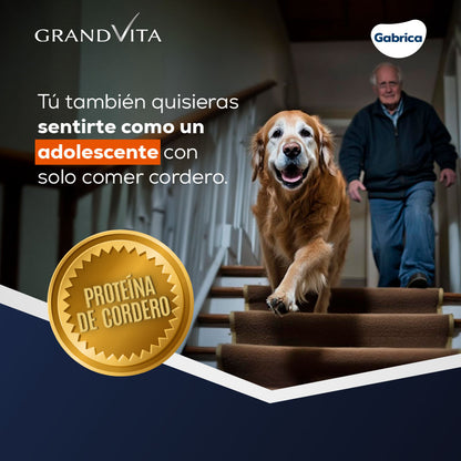 Grand Vita Adulto Senior 7+ Cordero - Alimento para Perros