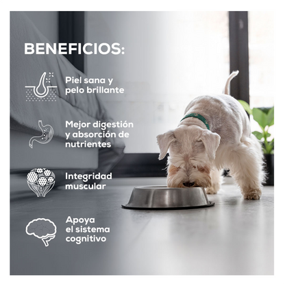 Grand Vita Adulto Raza Pequeña - Alimento para Perros