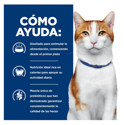 Hills Prescription Diet ONC Care - Alimento para Gatos