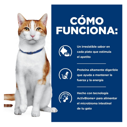 Hills Prescription Diet ONC Care - Alimento para Gatos