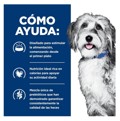 Hills Prescription Diet ONC Care para Perros - Alimento para Perros