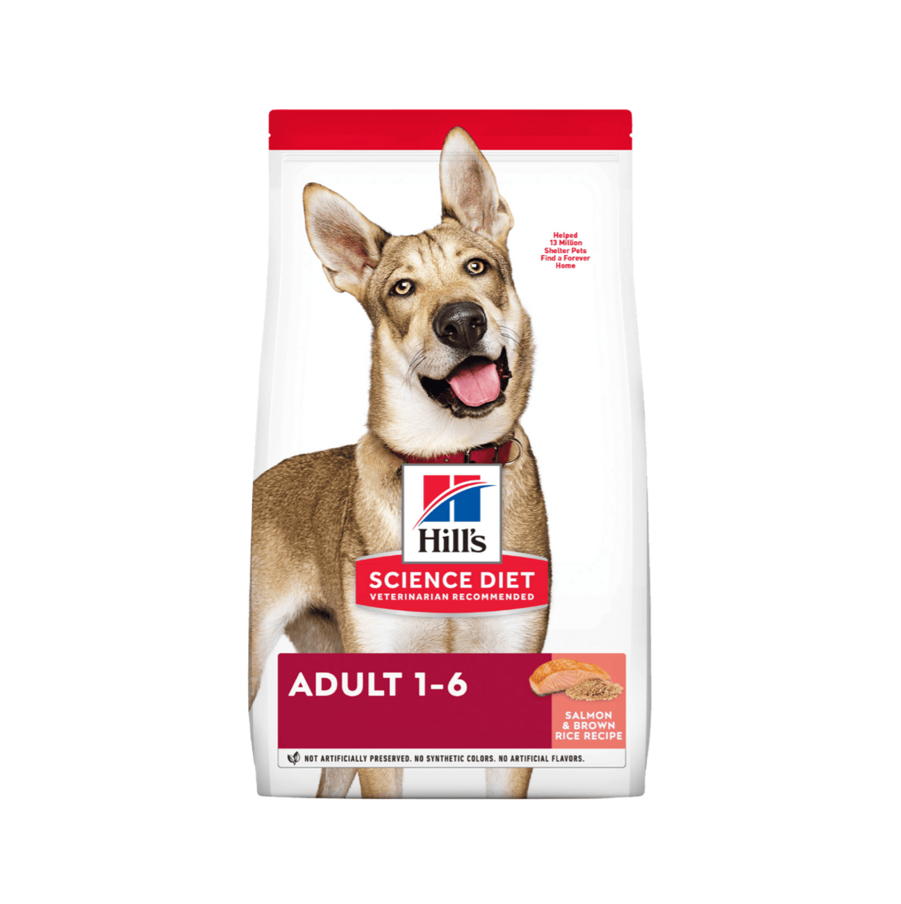 Hills Science Diet Adult Salmon and Rice - Alimento para Perros