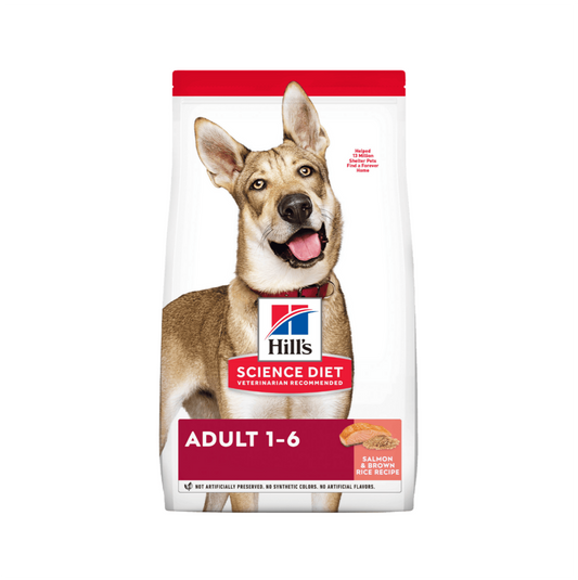 Hills Science Diet Adult Salmon and Rice - Alimento para Perros