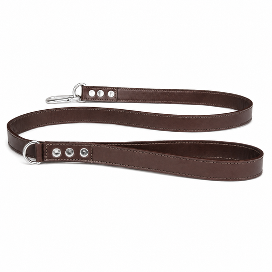 Correa Cuero Sasha para Perros - Petit Paws
