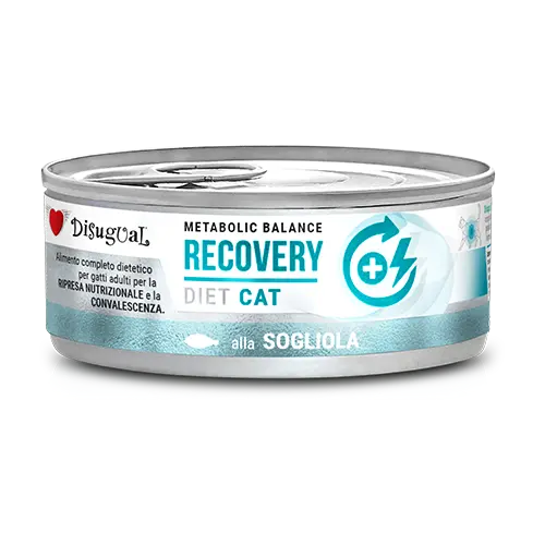 Disugual Metabolic Balance Cat Recovery Pescado - Alimento Húmedo Gato
