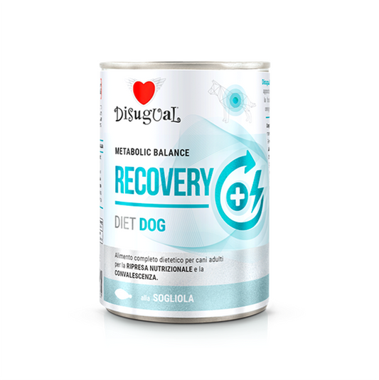 Disugual Dog Recovery Pescado - Alimento Húmedo para Perros