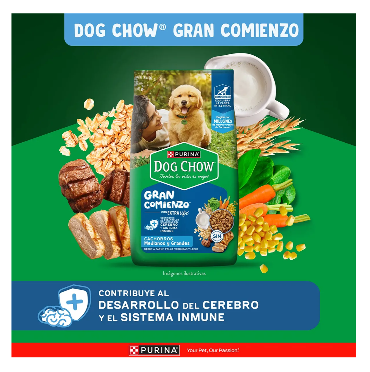 Dog Chow Cachorros Medianos y Grandes - Alimento para Perros