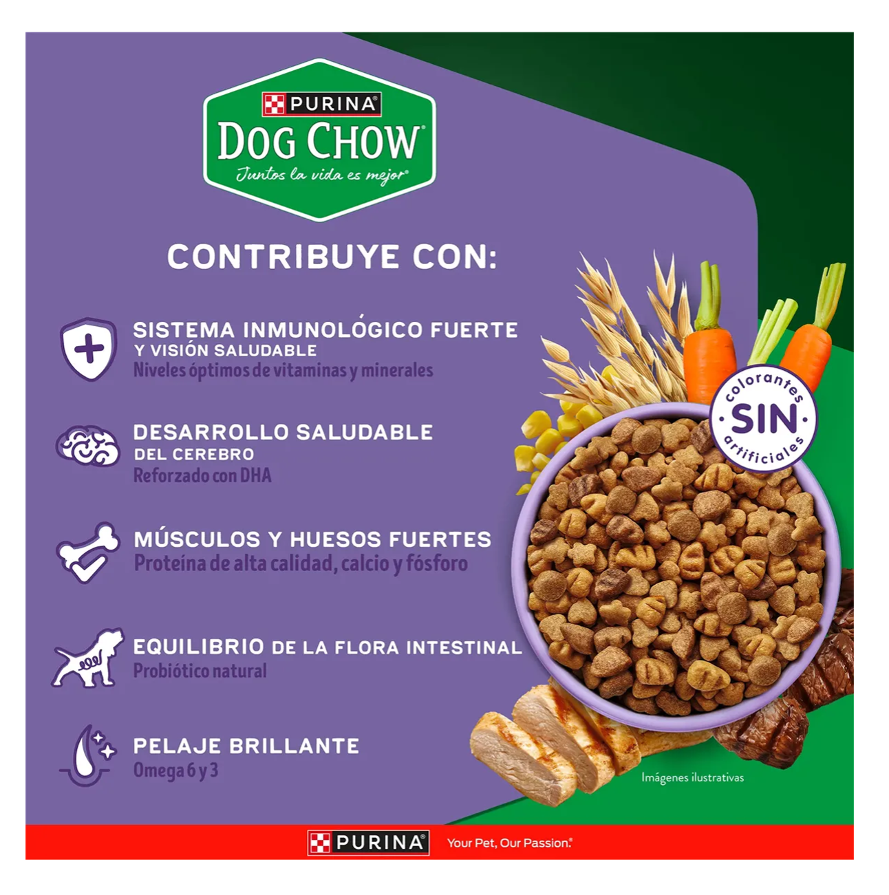 Dog Chow Cachorros Minis y Pequeños - Alimento para Perros