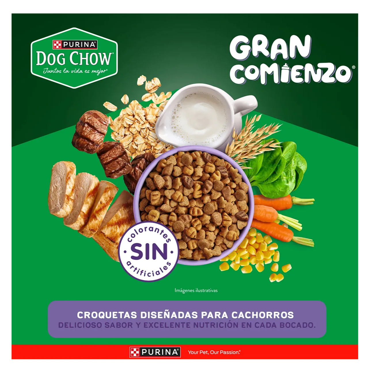 Dog Chow Cachorros Minis y Pequeños - Alimento para Perros
