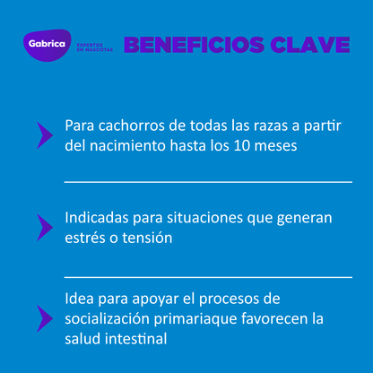 Esencias Florales de Bach Puppy para Perros - Petit Paws