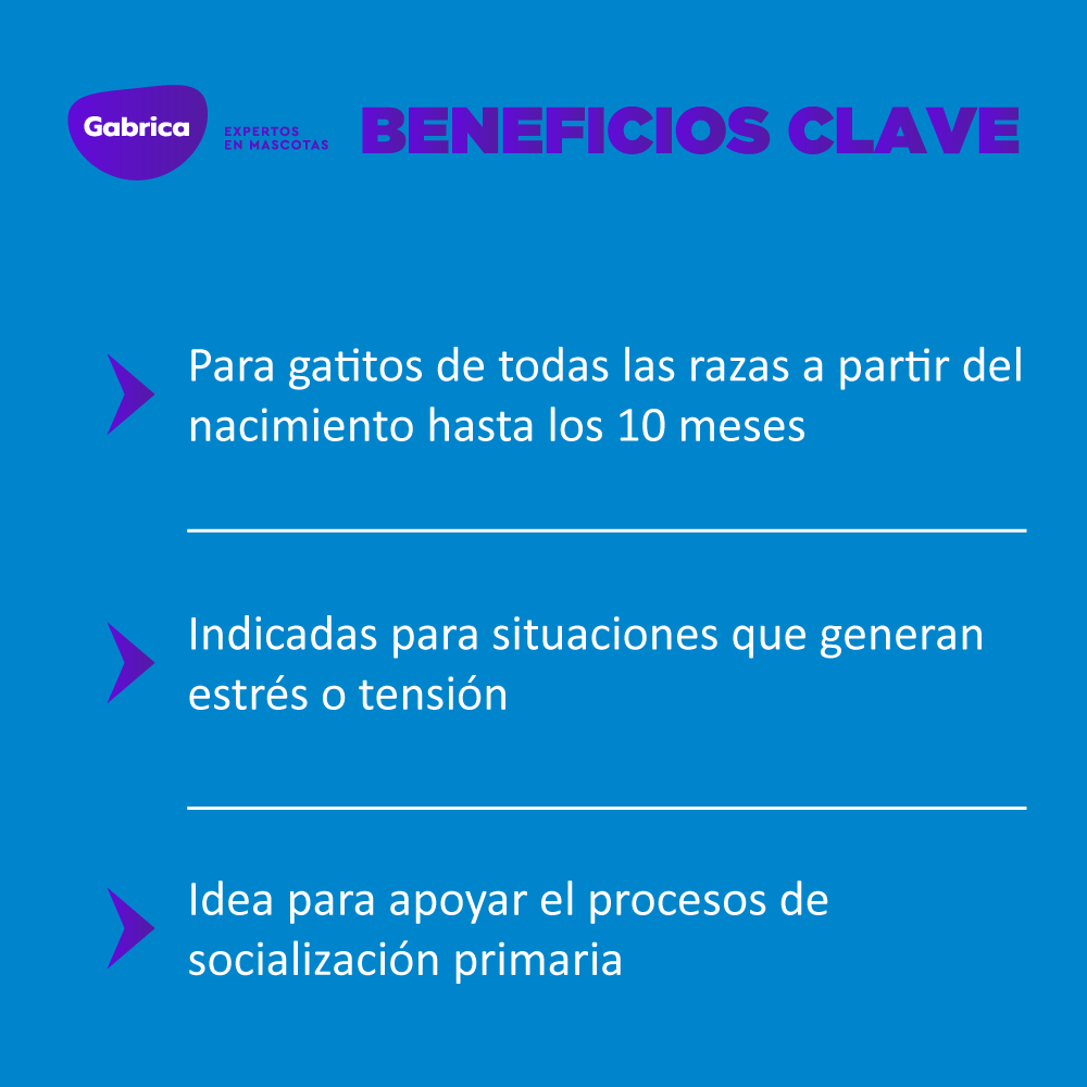 Esencias Florales de Bach Kitten - Petit Paws