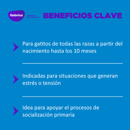 Esencias Florales de Bach Kitten - Petit Paws