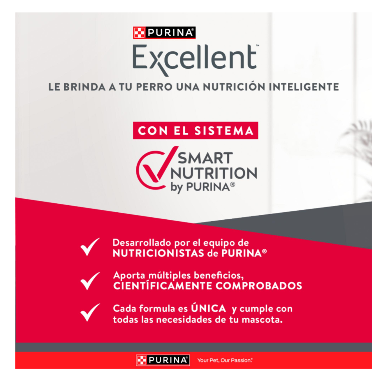 Excellent Adult Mantenimiento - Alimento para Perros