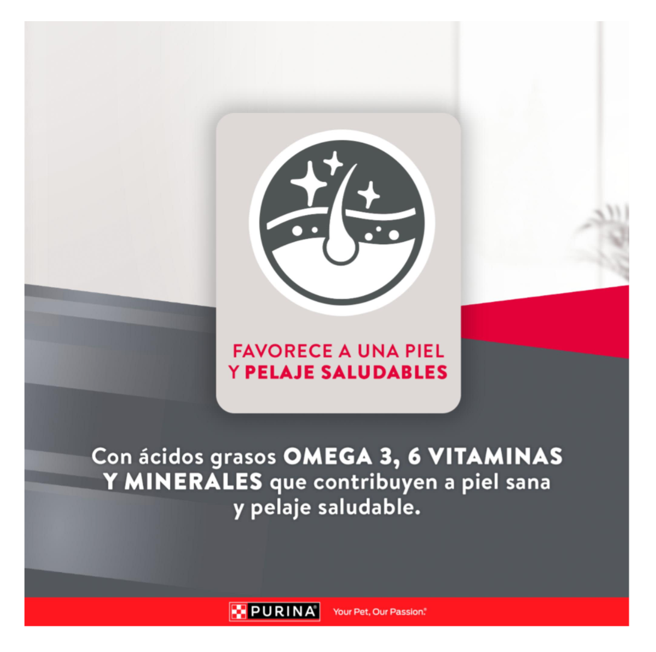 Excellent Adult Mantenimiento - Alimento para Perros