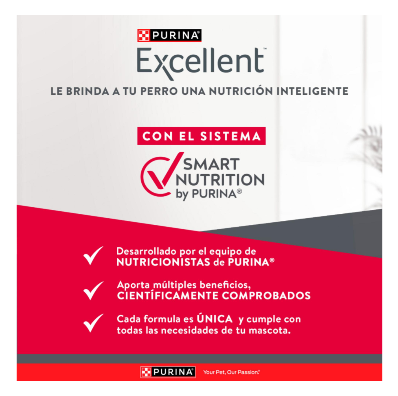 Excellent Adulto Skin Care - Alimento para Perros