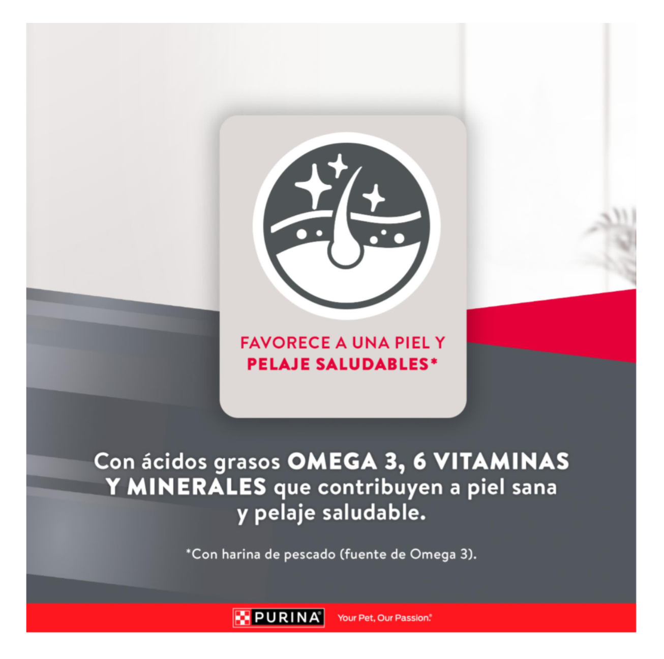 Excellent Adulto Skin Care - Alimento para Perros