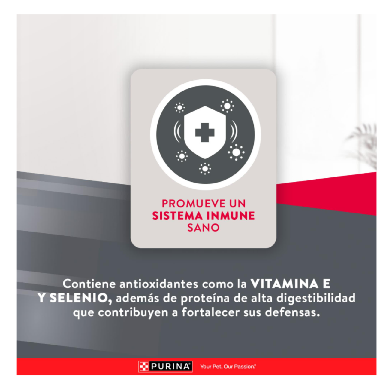 Excellent Adulto Skin Care - Alimento para Perros