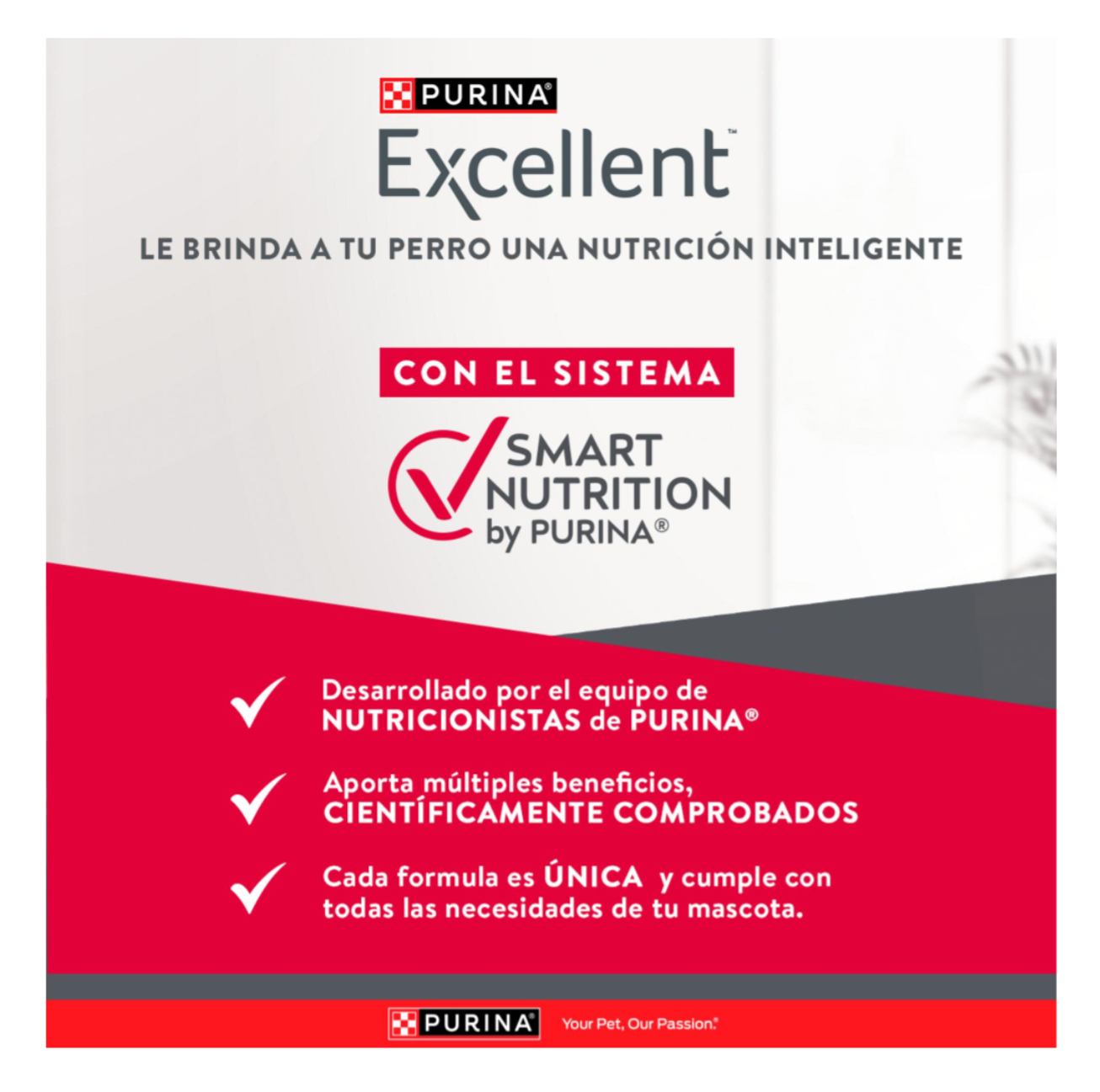 Excellent Adulto Razas Pequeñas - Alimento para Perros