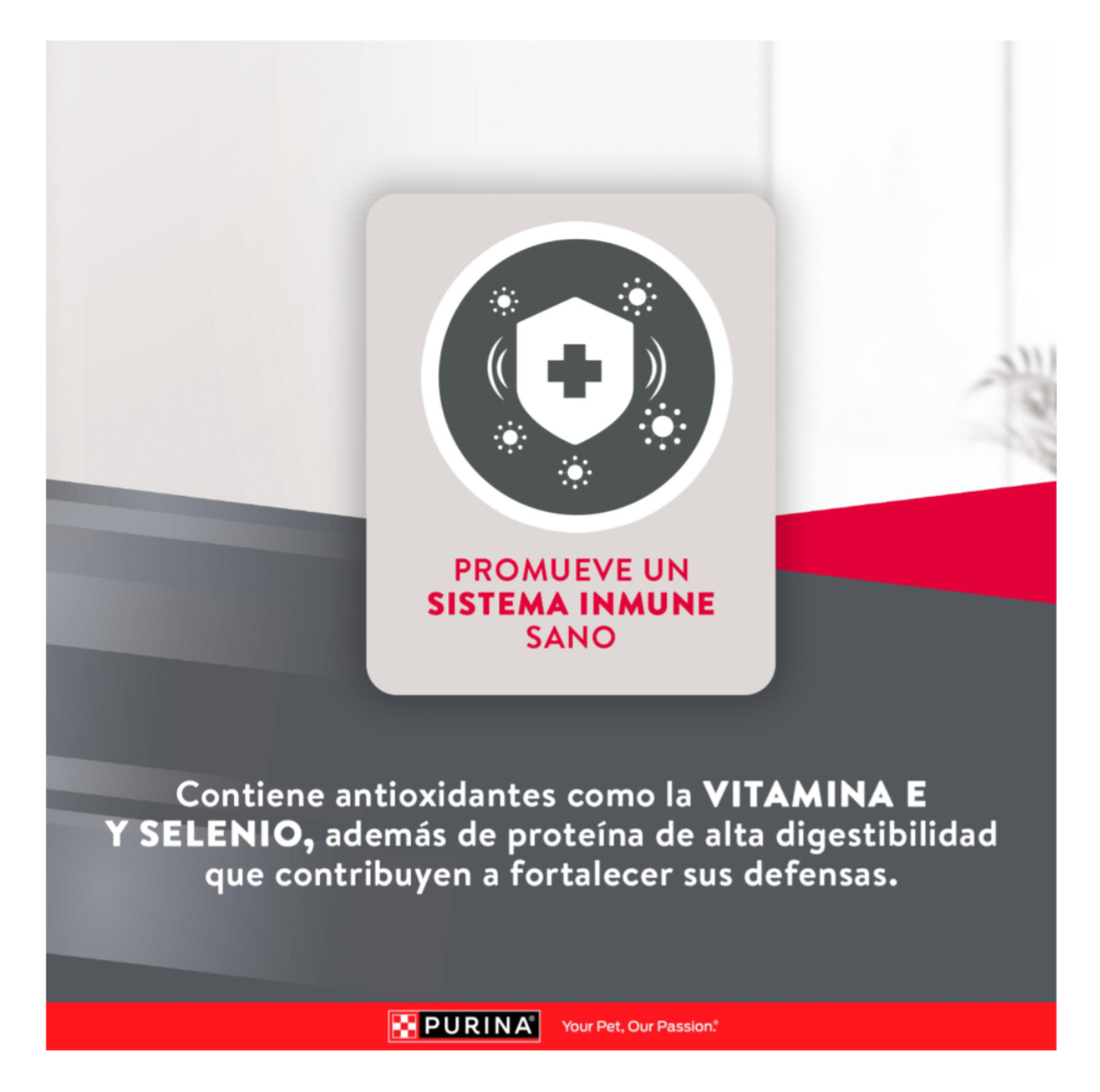 Excellent Adulto Razas Pequeñas - Alimento para Perros