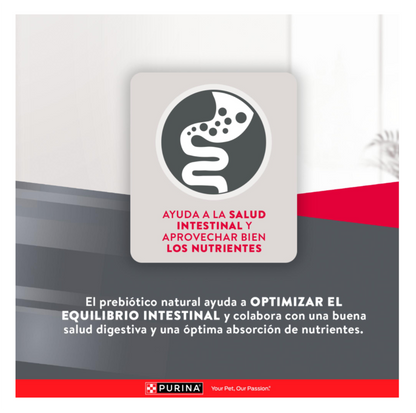 Excellent Adulto Razas Pequeñas - Alimento para Perros