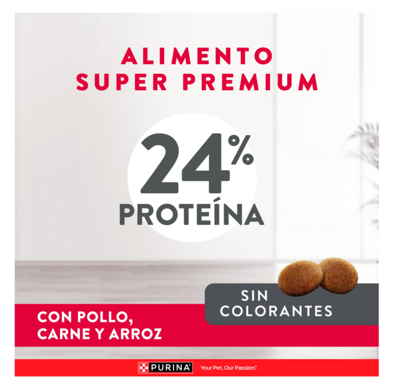 Excellent Adultos Razas Medianas y Grandes