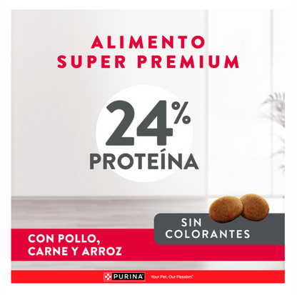 Excellent Adultos Razas Medianas y Grandes