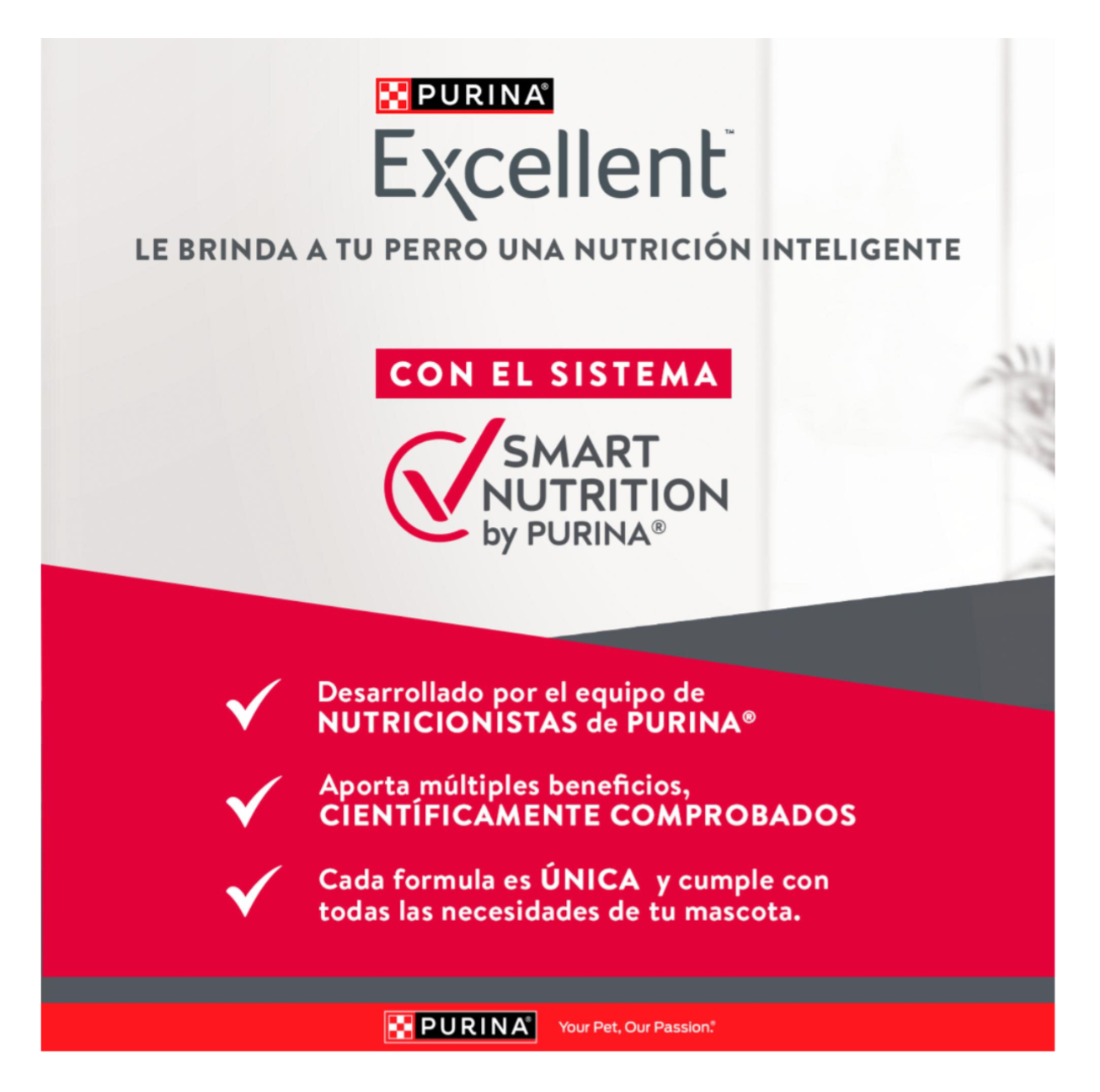 Excellent Adultos Razas Medianas y Grandes